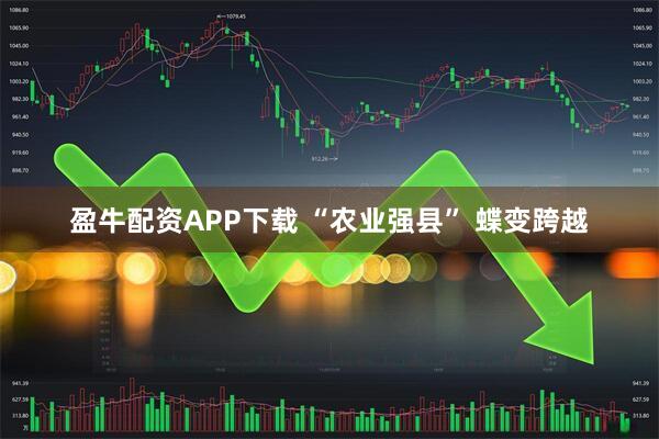 盈牛配资APP下载 “农业强县” 蝶变跨越