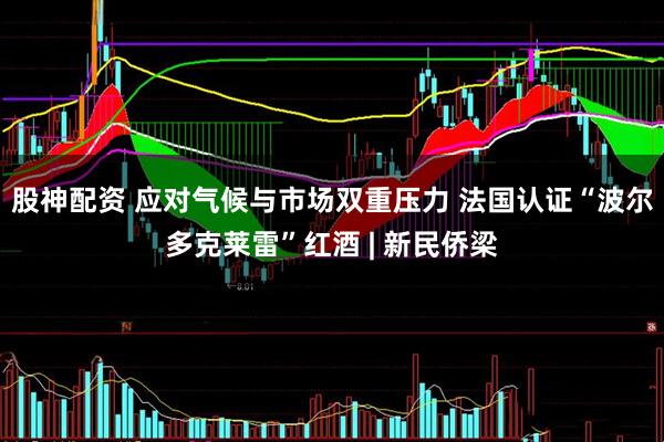 股神配资 应对气候与市场双重压力 法国认证“波尔多克莱雷”红酒 | 新民侨梁